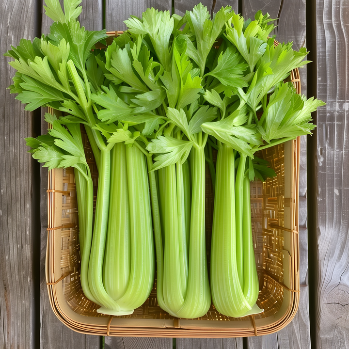 Celery Share - HAWAIIAN HILLS -  - #tag1# - #tag2# - 